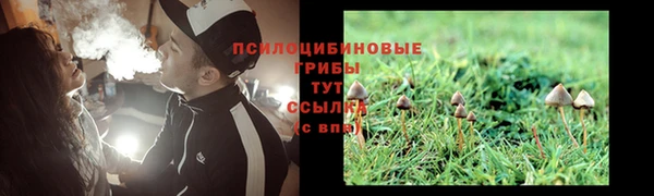 трава Алексеевка