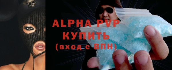 СК Алексин