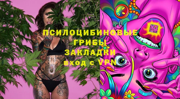 СК Алзамай