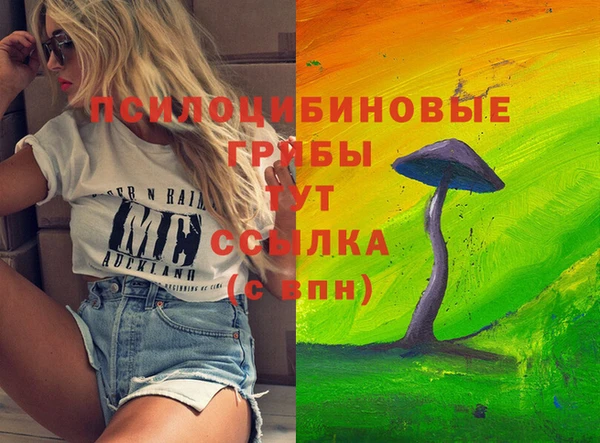 СК Алексин