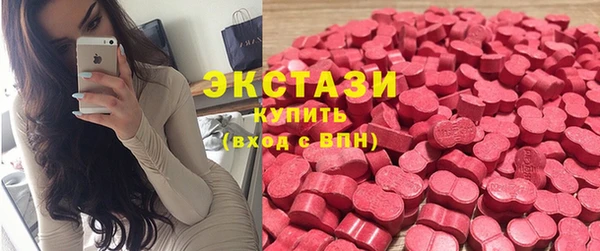 СК Алексин