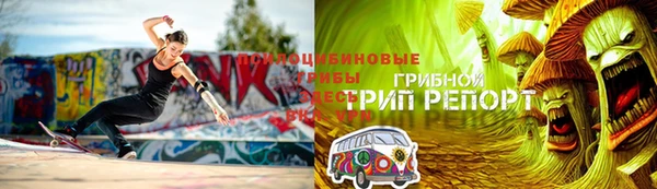 СК Алзамай
