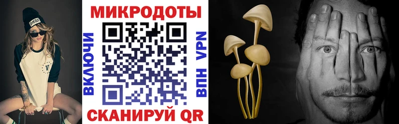 Псилоцибиновые грибы GOLDEN TEACHER Беслан
